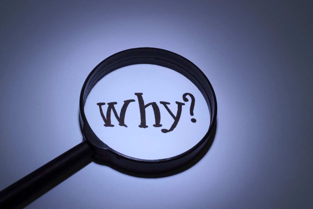 Website Design Company in Kallakurichi