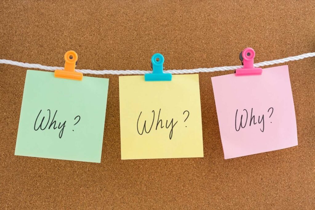 Website Development Company in Krishnagiri