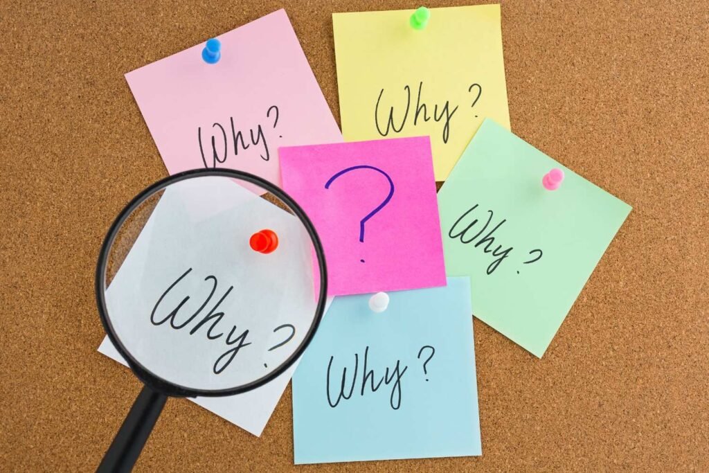 Website Design Company in Namakkal