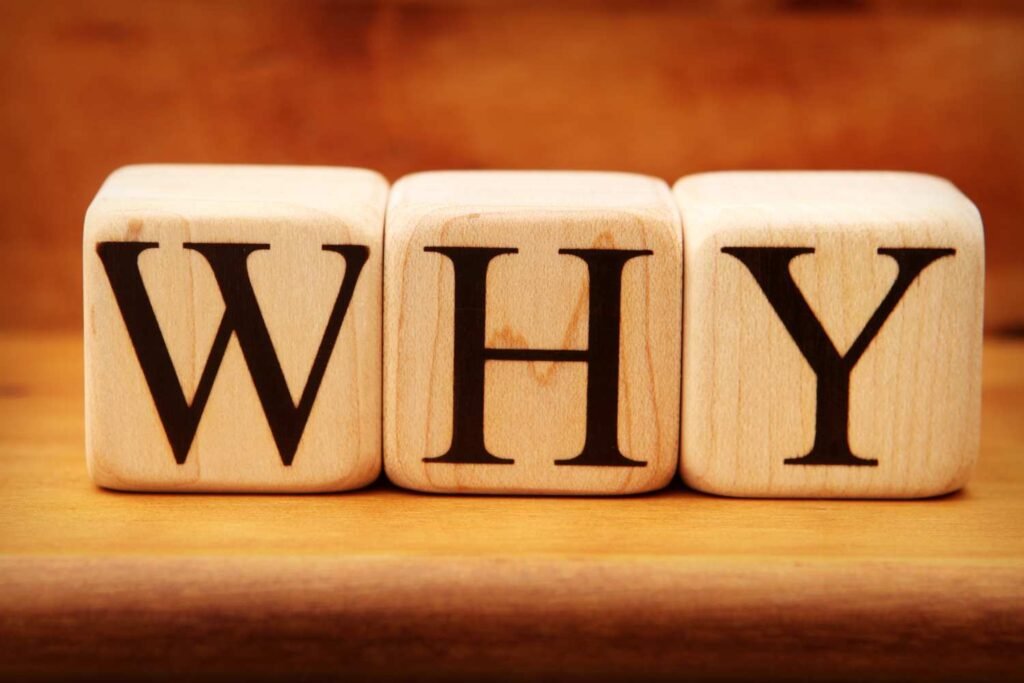 Website Development Company in Ramanathapuram