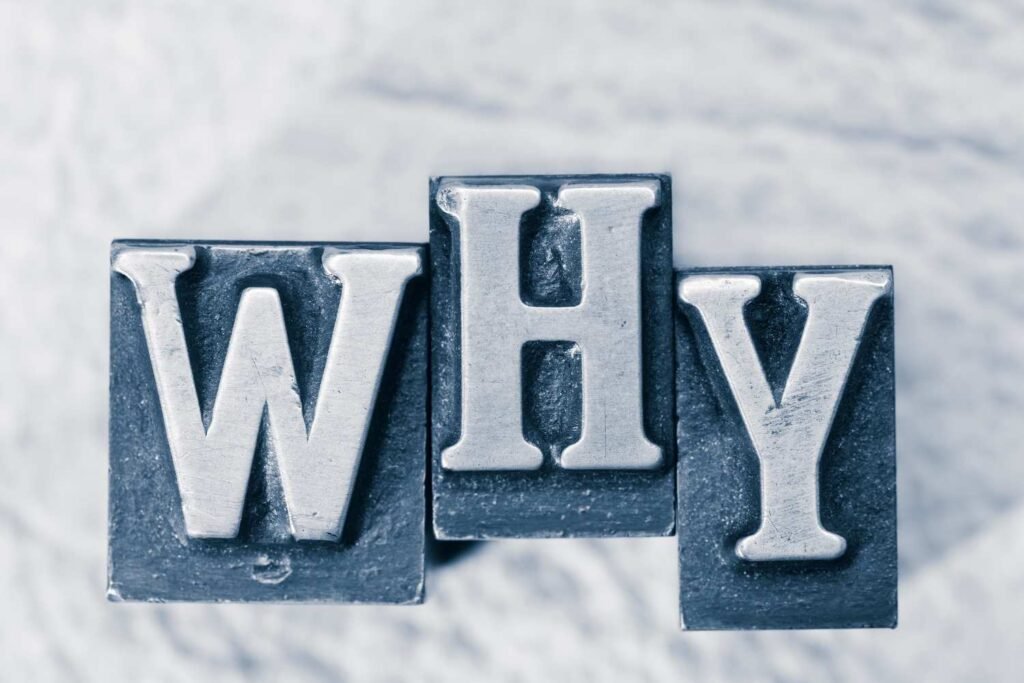 Website Development Company in Ranipet