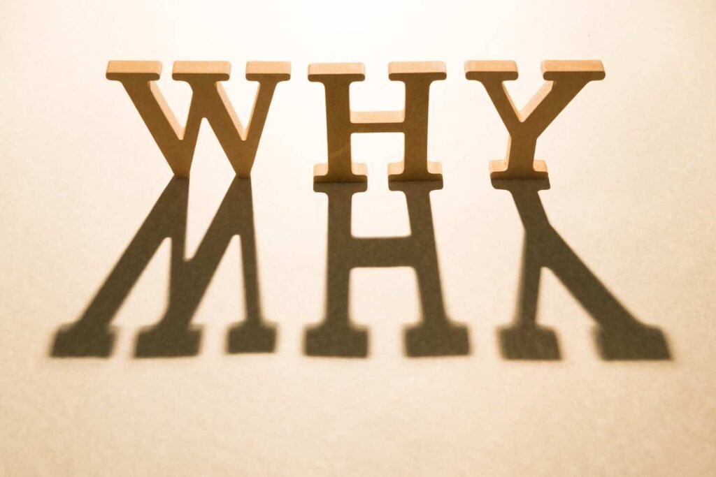 Website Development in Sivaganga 4 Website Development in Sivaganga