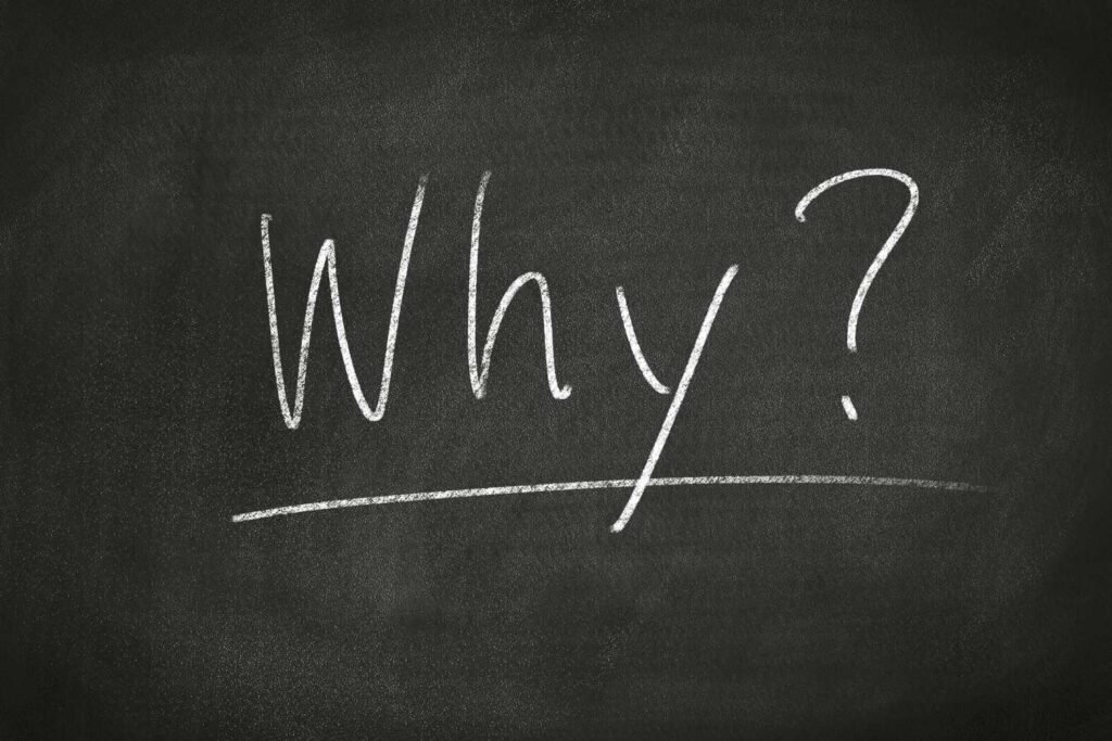 Website Development in Tenkasi