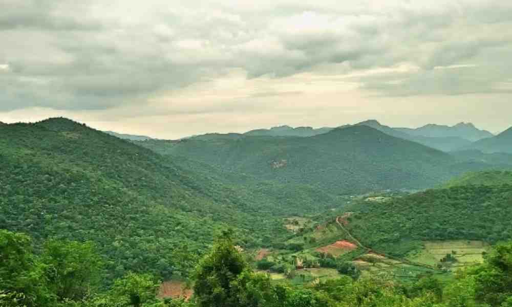 Website Design Company in Kallakurichi