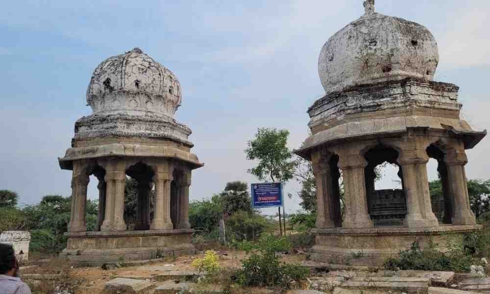 Website Development Company in Ranipet