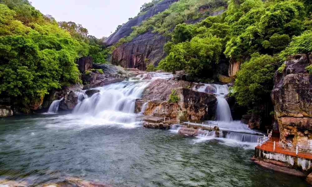 Website Development in Tirunelveli