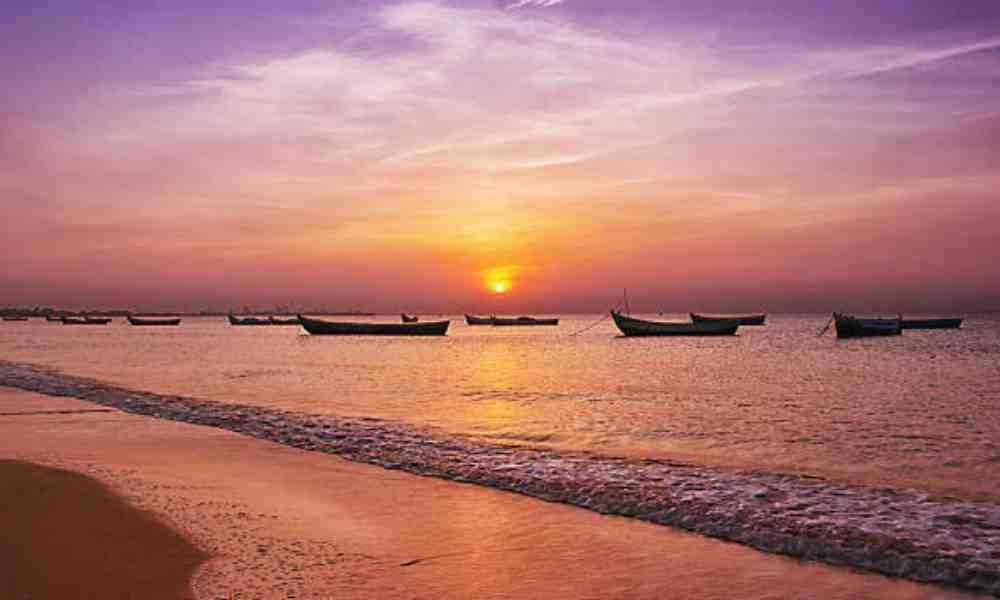 Website Development in Thoothukudi