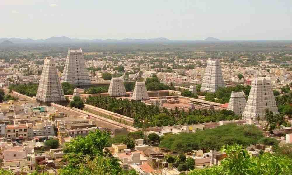 Tiruvannamalai Website Development